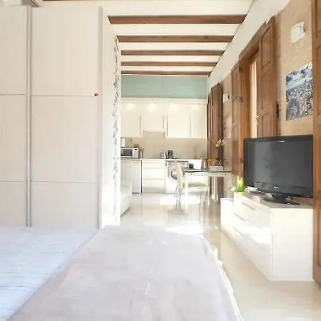 Plaza Redonda Flats 公寓 瓦伦西亚